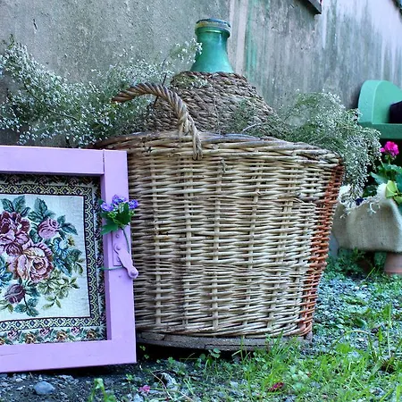 게스트하우스 La Mia Rovieto