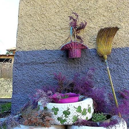 La Mia Rovieto