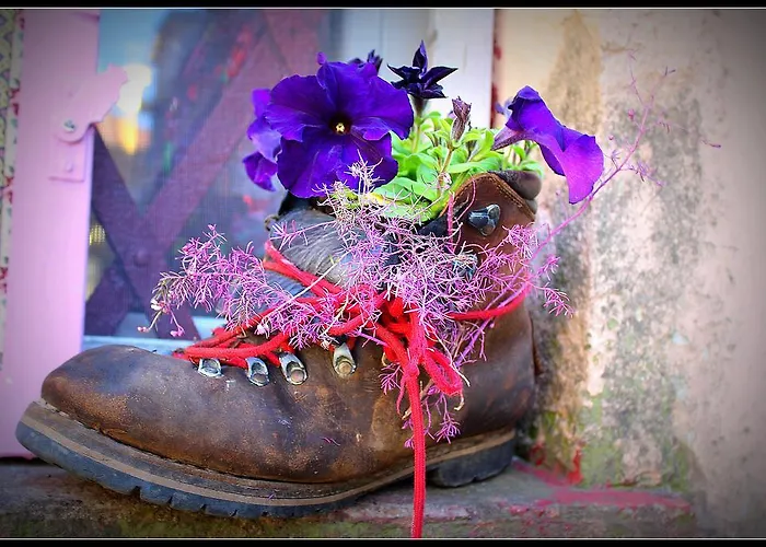 게스트하우스 La Mia *