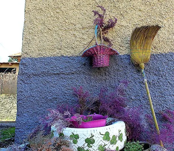 La Mia Rovieto