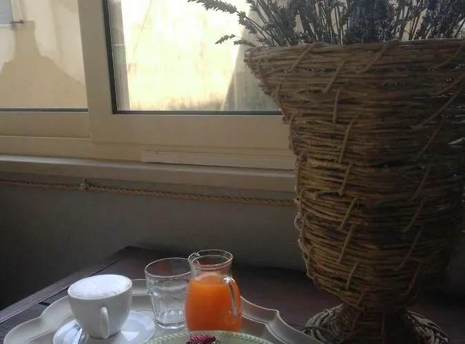La Mia بيت ضيافة *