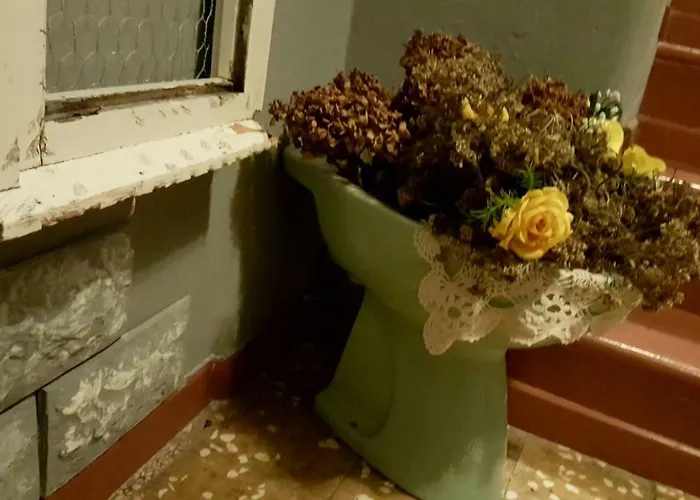 بيت ضيافة La Mia Rovieto